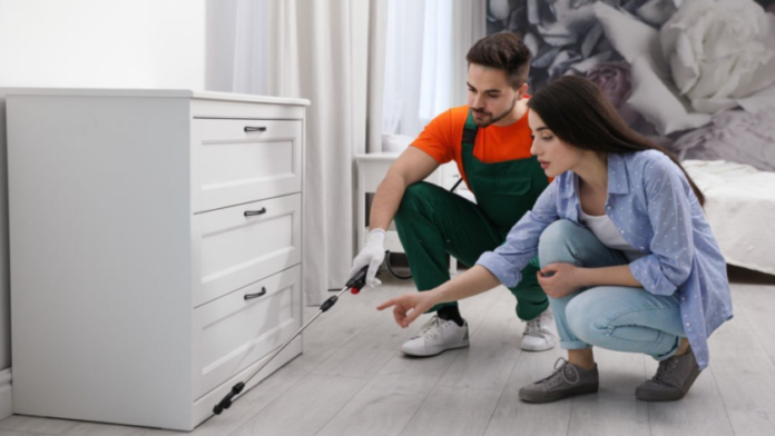The Power of Professional Carpet Cleaning Services