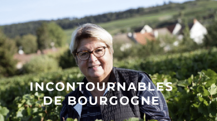 coteaux bourguignons prix