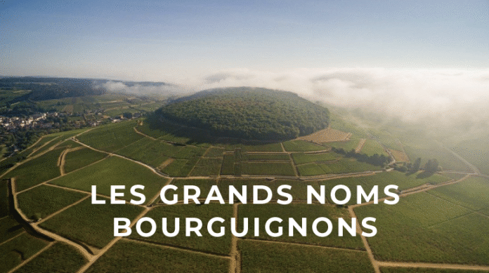 Achetez du vin à Dijon