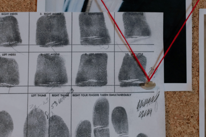 digital forensic investigation